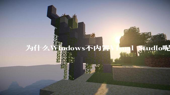 为什么Windows不内置Visual Studio呢?