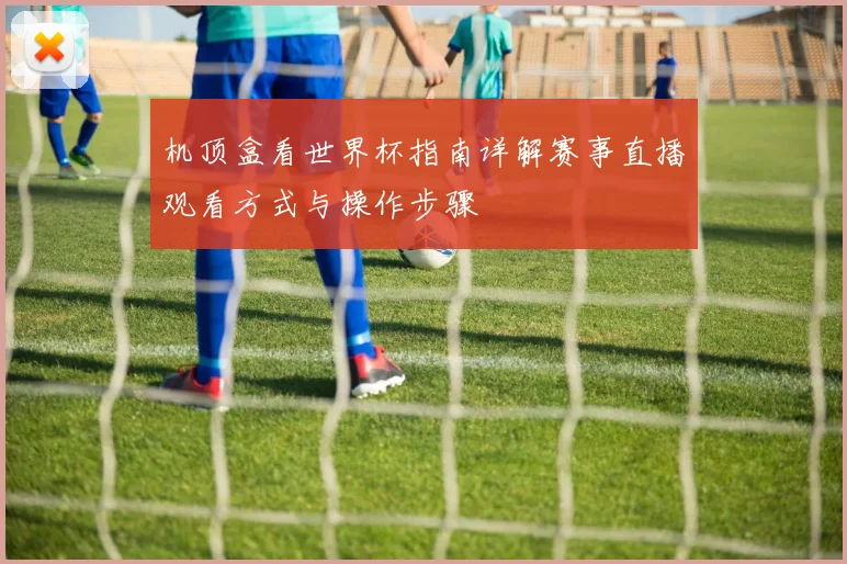 机顶盒看世界杯指南详解赛事直播观看方式与操作步骤