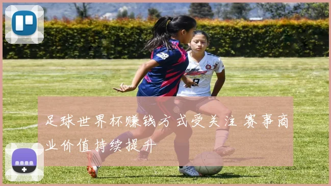 足球世界杯赚钱方式受关注 赛事商业价值持续提升